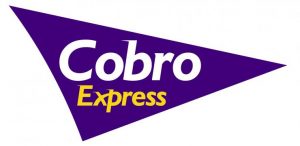 Compra tu dominio web en Argentina con Cobro Express - Comprar dominio en Argentina