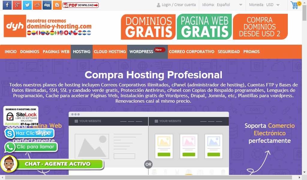 Pantalla de la pestaña Hosting - Comprar hosting en Argentina