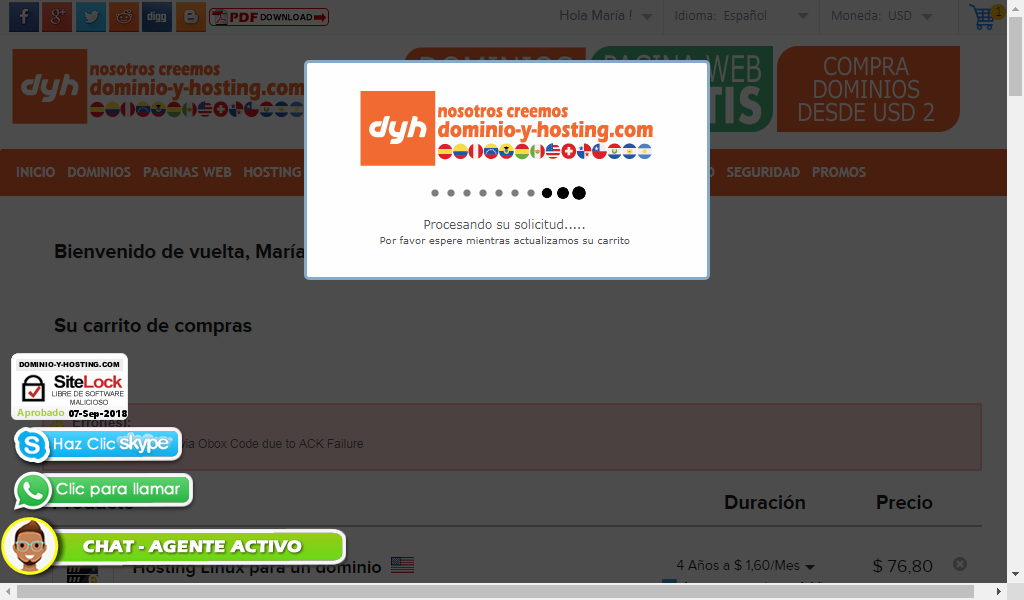 Procesando su solicitud Dominio-y-Hosting.com - Comprar hosting en Chile